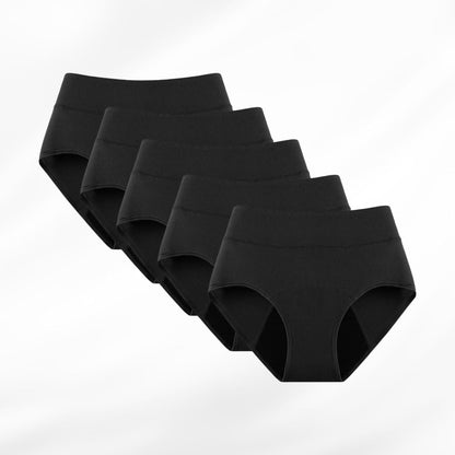 Leakproof Underwear (Set of 5)