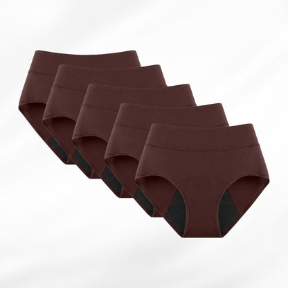 Leakproof Underwear (Set of 5)